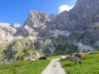 AX2023-Franzensfeste-Gardasee-03-Campitello-di-Fassa-088