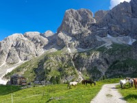 AX2023-Franzensfeste-Gardasee-03-Campitello-di-Fassa-089