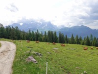 AX2023-Franzensfeste-Gardasee-04-Martino-di-Castrozza-041