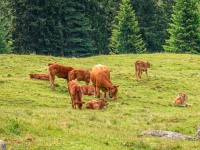 AX2023-Franzensfeste-Gardasee-04-Martino-di-Castrozza-042