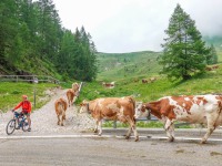 AX2023-Franzensfeste-Gardasee-04-Martino-di-Castrozza-101