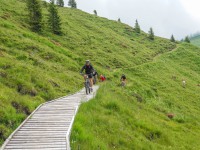 AX2023-Franzensfeste-Gardasee-05-Pieve-Tesino-015