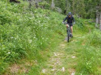 AX2023-Franzensfeste-Gardasee-05-Pieve-Tesino-035