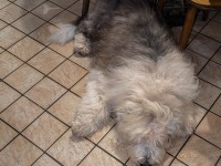 AX2023-Franzensfeste-Gardasee-06-Folgaria-059