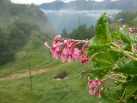 AX2023-Franzensfeste-Gardasee-08-Torbole-005