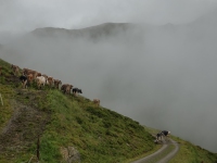 AX2025-Innsbruck-Bassano-del-Grappa-02-Saltelbergalm-018