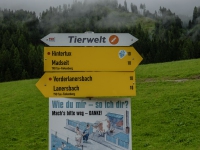 AX2025-Innsbruck-Bassano-del-Grappa-02-Saltelbergalm-037