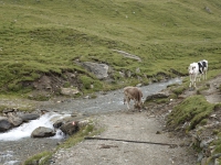 AX2025-Innsbruck-Bassano-del-Grappa-04-Stefansdorf-020