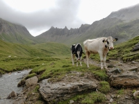 AX2025-Innsbruck-Bassano-del-Grappa-04-Stefansdorf-024