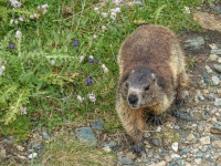 AX2025-Innsbruck-Bassano-del-Grappa-04-Stefansdorf-028