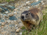 AX2025-Innsbruck-Bassano-del-Grappa-04-Stefansdorf-029