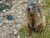 AX2025-Innsbruck-Bassano-del-Grappa-04-Stefansdorf-030