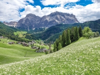 AX2025-Innsbruck-Bassano-del-Grappa-05-La-Villa-064