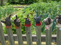 AX2025-Innsbruck-Bassano-del-Grappa-05-La-Villa-068