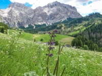 AX2025-Innsbruck-Bassano-del-Grappa-05-La-Villa-081