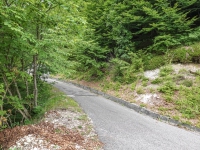 AX2025-Innsbruck-Bassano-del-Grappa-08-Bassano-del-Grappa-020