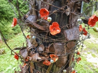 AX2025-Innsbruck-Bassano-del-Grappa-08-Bassano-del-Grappa-028