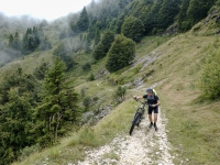 AX2025-Innsbruck-Bassano-del-Grappa-08-Bassano-del-Grappa-050