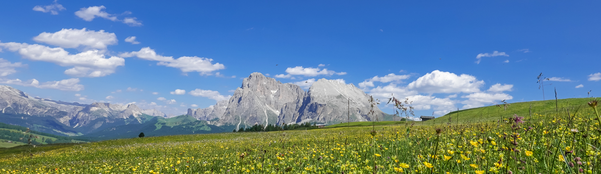 Mountainbike Touren über die Alpen