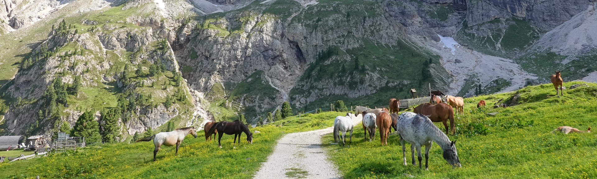 Mountainbike Touren über die Alpen