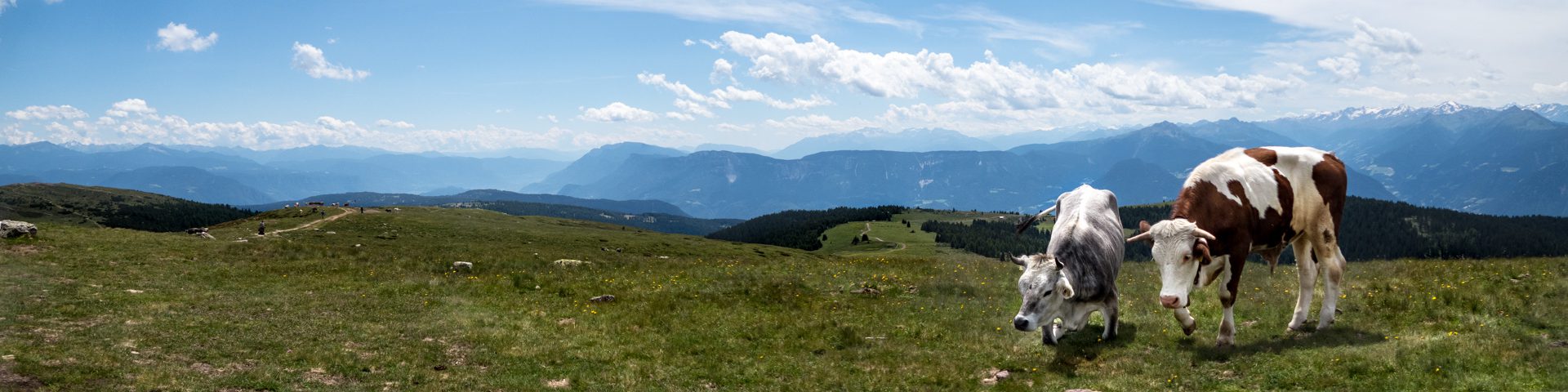 Mountainbike Touren über die Alpen